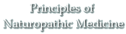 Naturopathic Principles