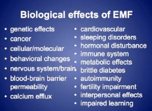 emf-effects-on-body