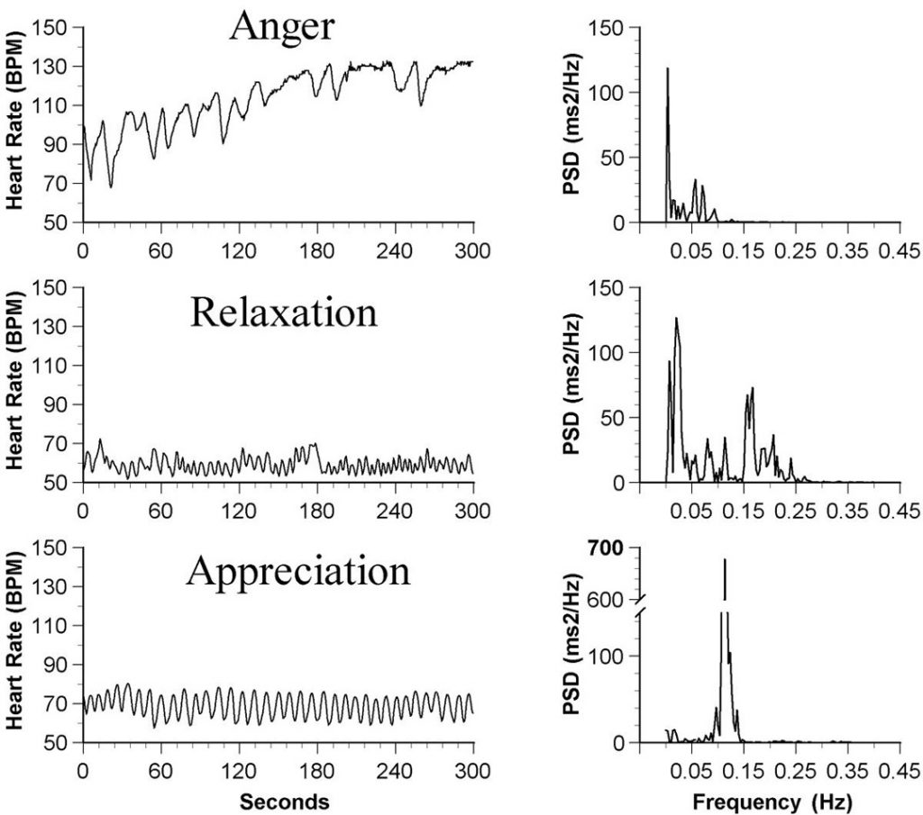 The chart shows how heart rhythms change in the presence of feelings of Anger, Relaxation, and Appreciation. Note the charts of “Power Spectral Density” (PSD) at right. In the presence of positive, expansive feelings, the heart’s electrical power increased by more than 400 percent. Click to enlarge