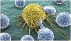 t-cells-attack-cancer