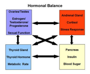 hormonal-balance