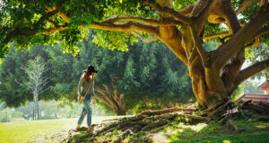 Woman in jeans, brimmed hat and sweater walks under sprawling twisted tree with swirling limbs, backlit by warm sunlight.